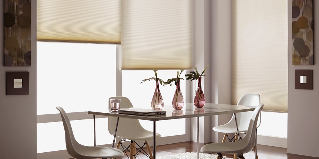 7 Amazing Design Ideas for Window Roller Blinds