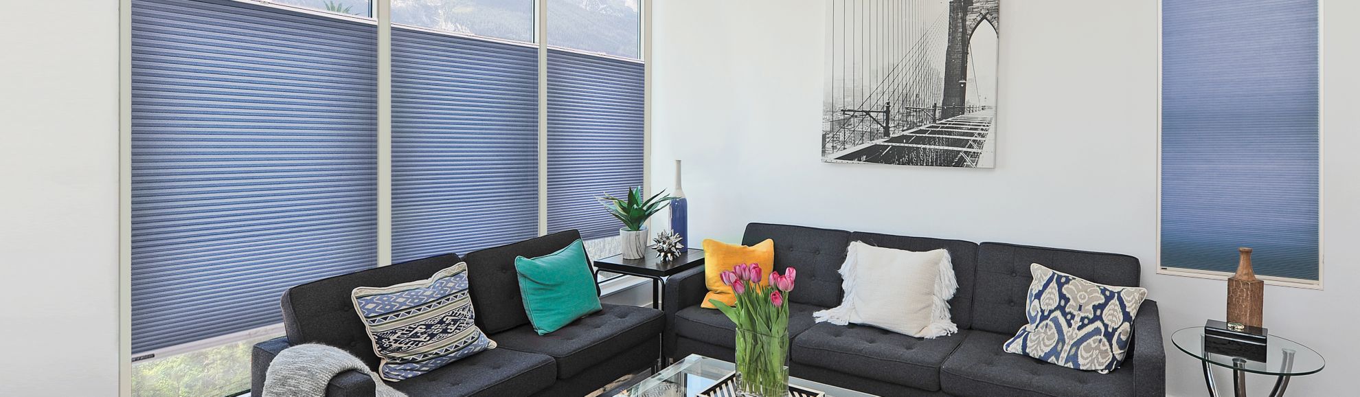 Cellular Shades, Shades, & Pleated Shades Custom Made