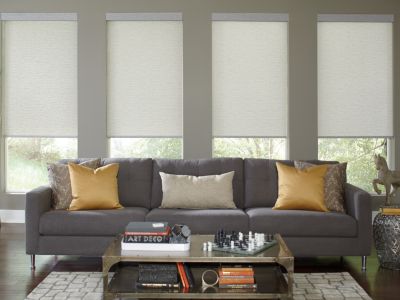 Solar Shades - Mystic Ice White 413 - Living Room
