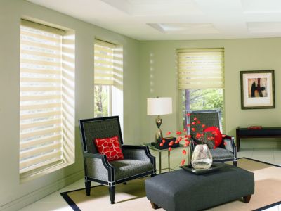Transitional Shades - Living Room